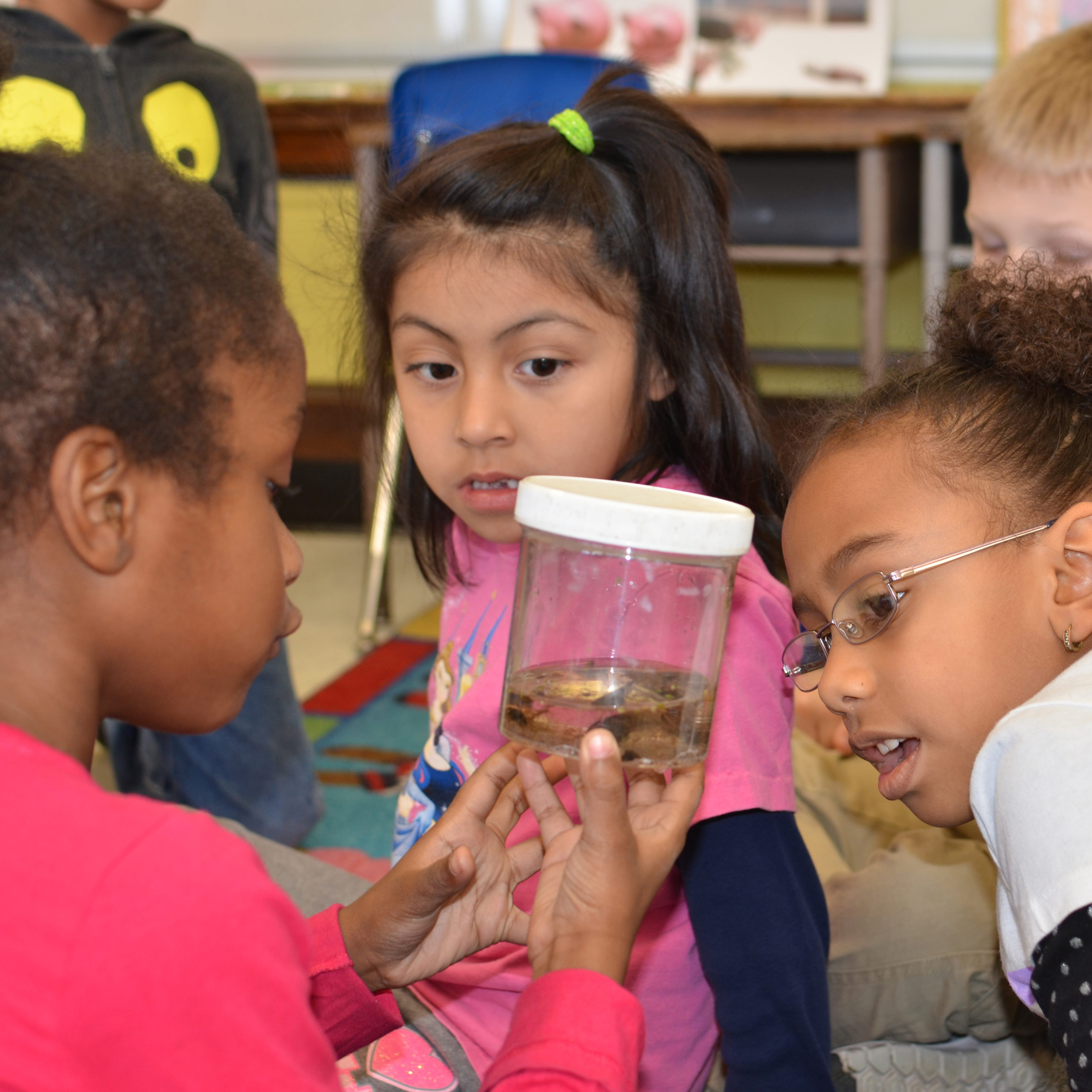 Three student look at a pond creature inside a specimen jar