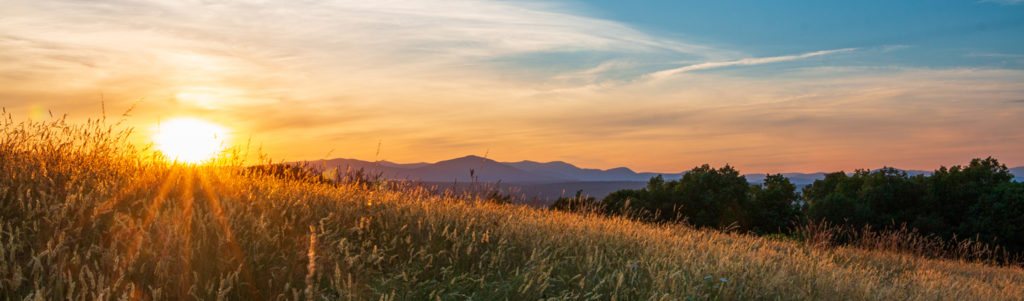 Sunset behind the Catskills in the background with a field of summer grass in the foreground