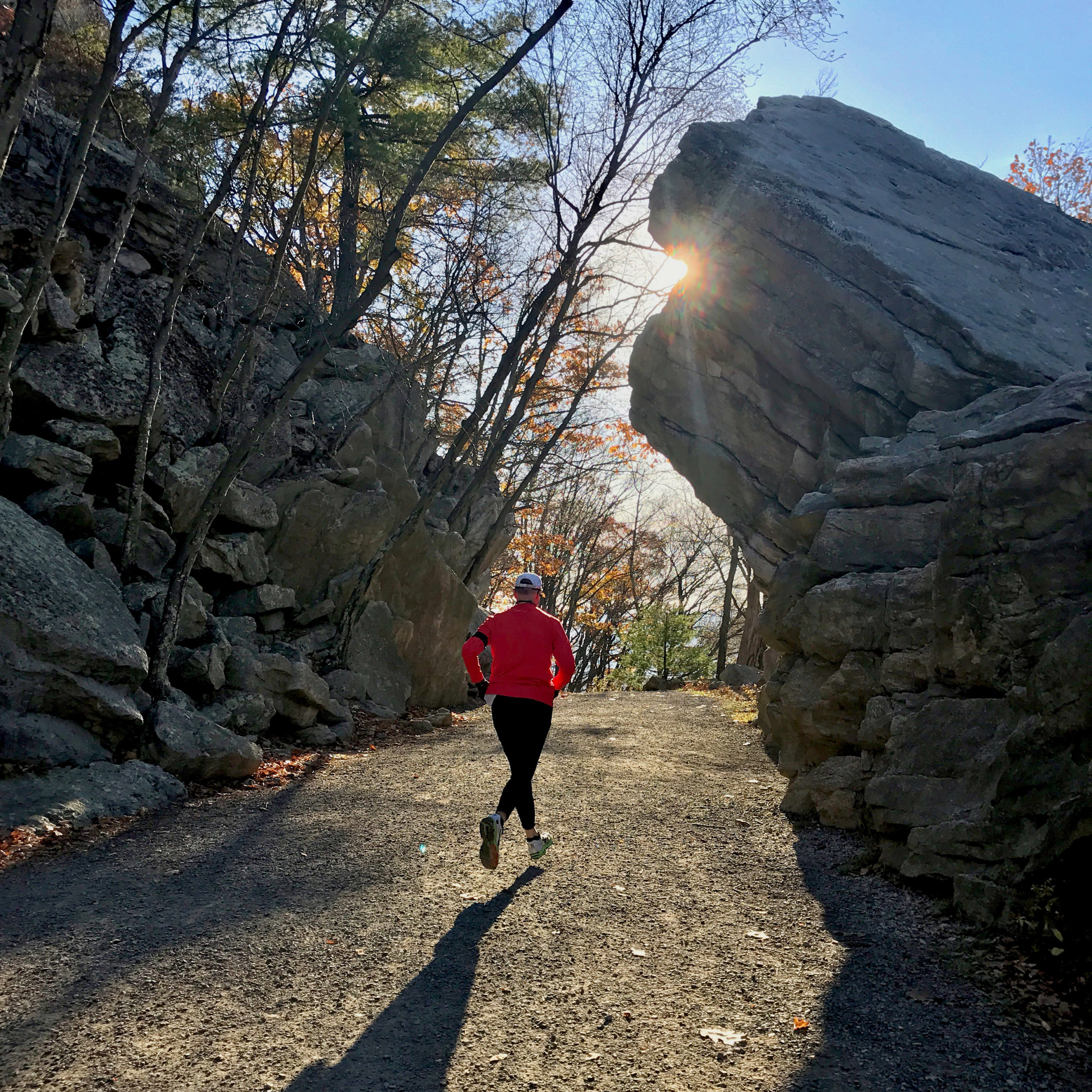 A runner in a red shirt goes down Undercliff Carriage Road near Behemoth Boulder. The sun shines from behind the boulder