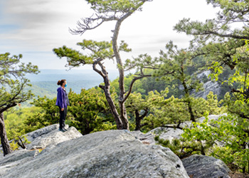 A hiker stands looking to the right on a rock slab among pitch pines