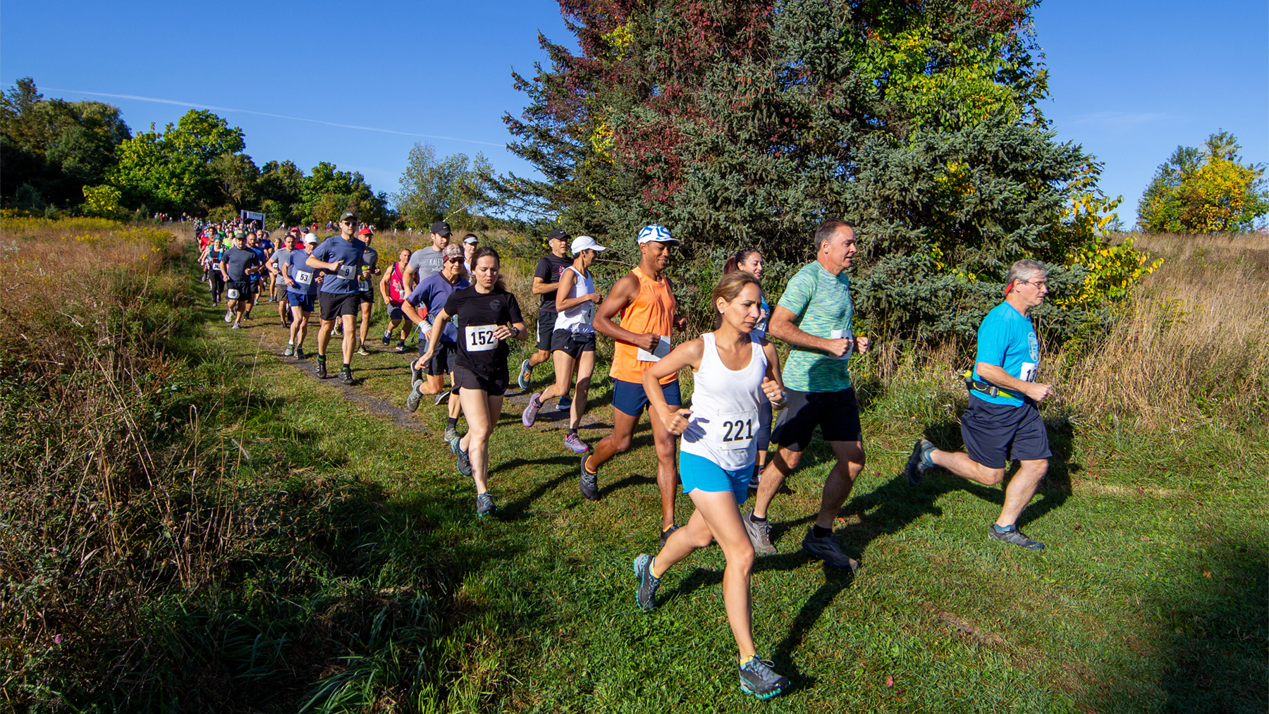 A group of runners on a mowed path