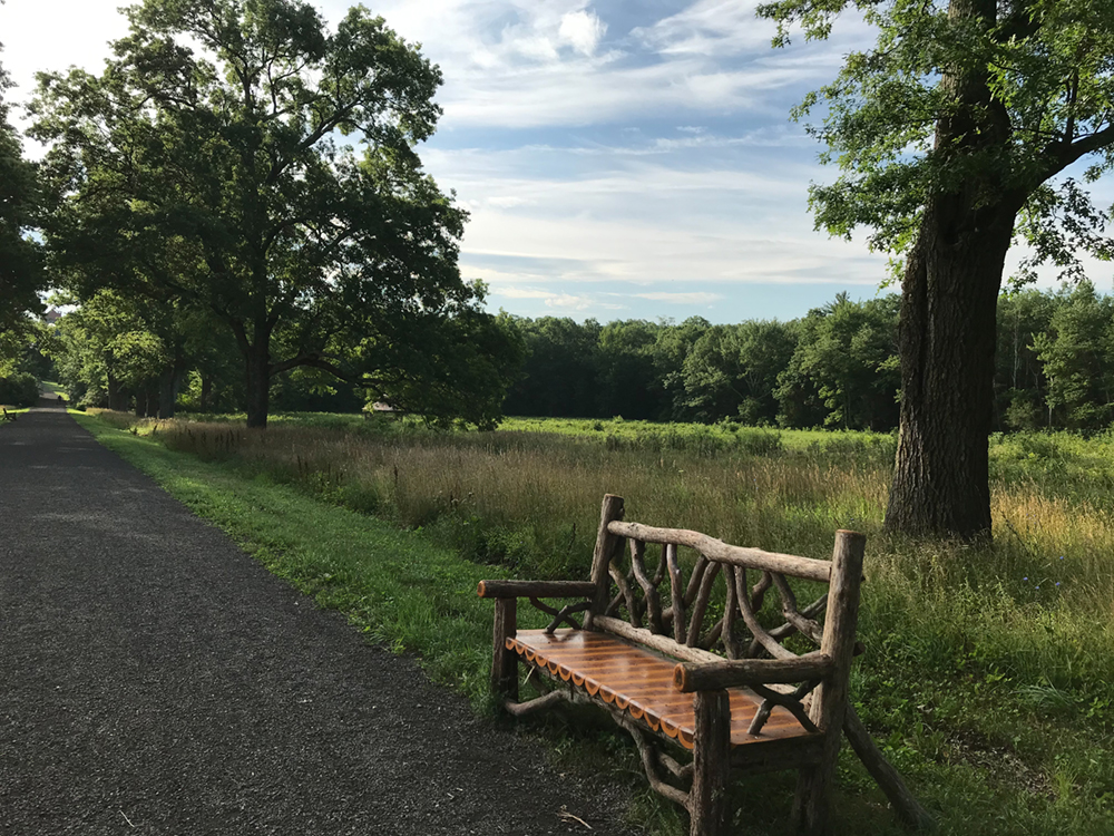 The Pin Oak Allee continues along the left edge, a wood bench is at the edge of the carriage road in foreground