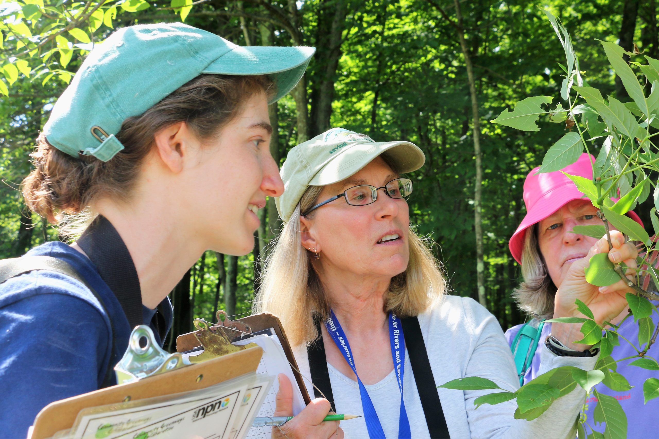 Carol Rietsma at a phenology orientation looking at a branch with a staff member and citizen scientist