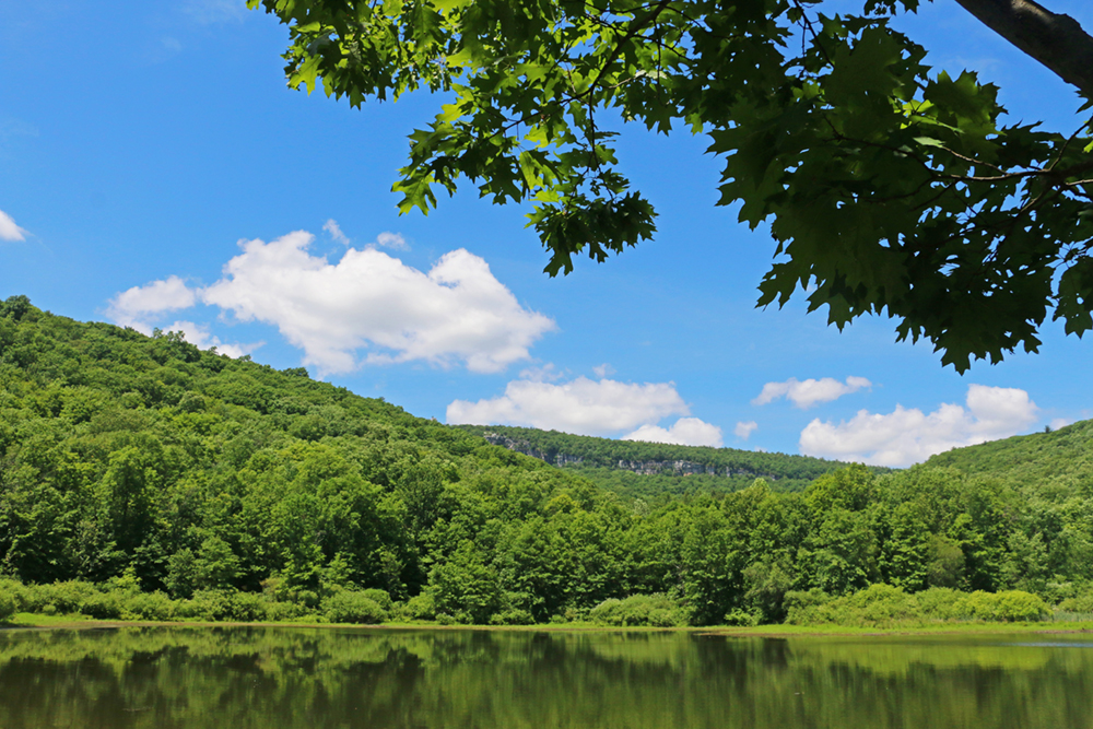 Duck Pond with Skytop and cliffs in the background, a blue sky and a few clouds above the land. A tree branch cuts across at a diagonal in the foreground
