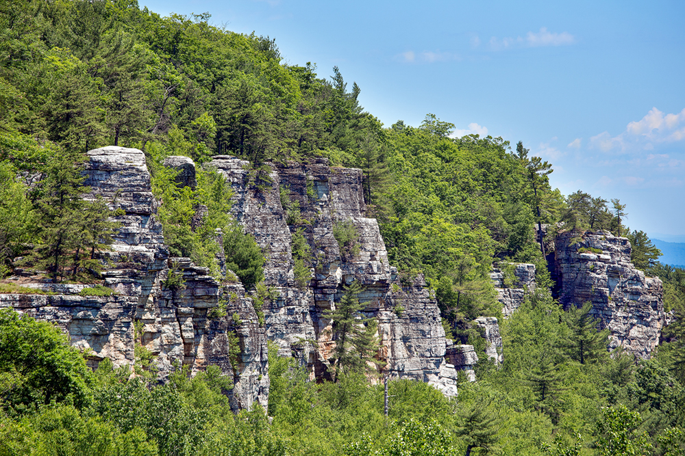 Close-up of the Lost City Cliffs in mid summer with bright green forests.