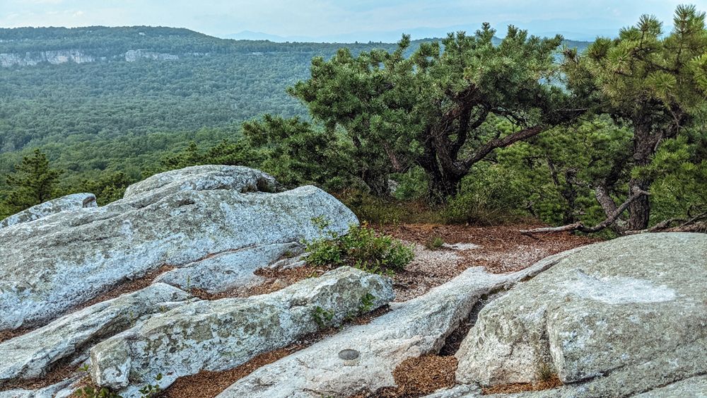 Ridge top rock slabs and pitch pine with a vista of Lost City cliffs in the background.