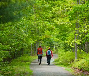 Hikers on a path