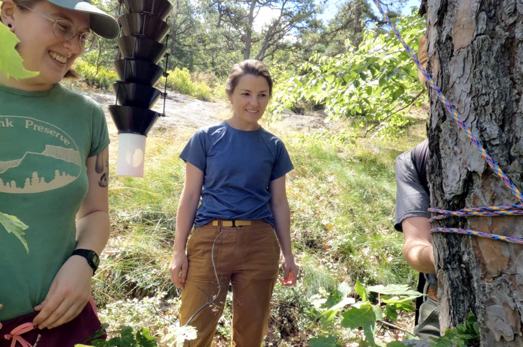 Applied Forest Ecologist setting up a Lindgren funnel traps to catch the Southern pine beetle