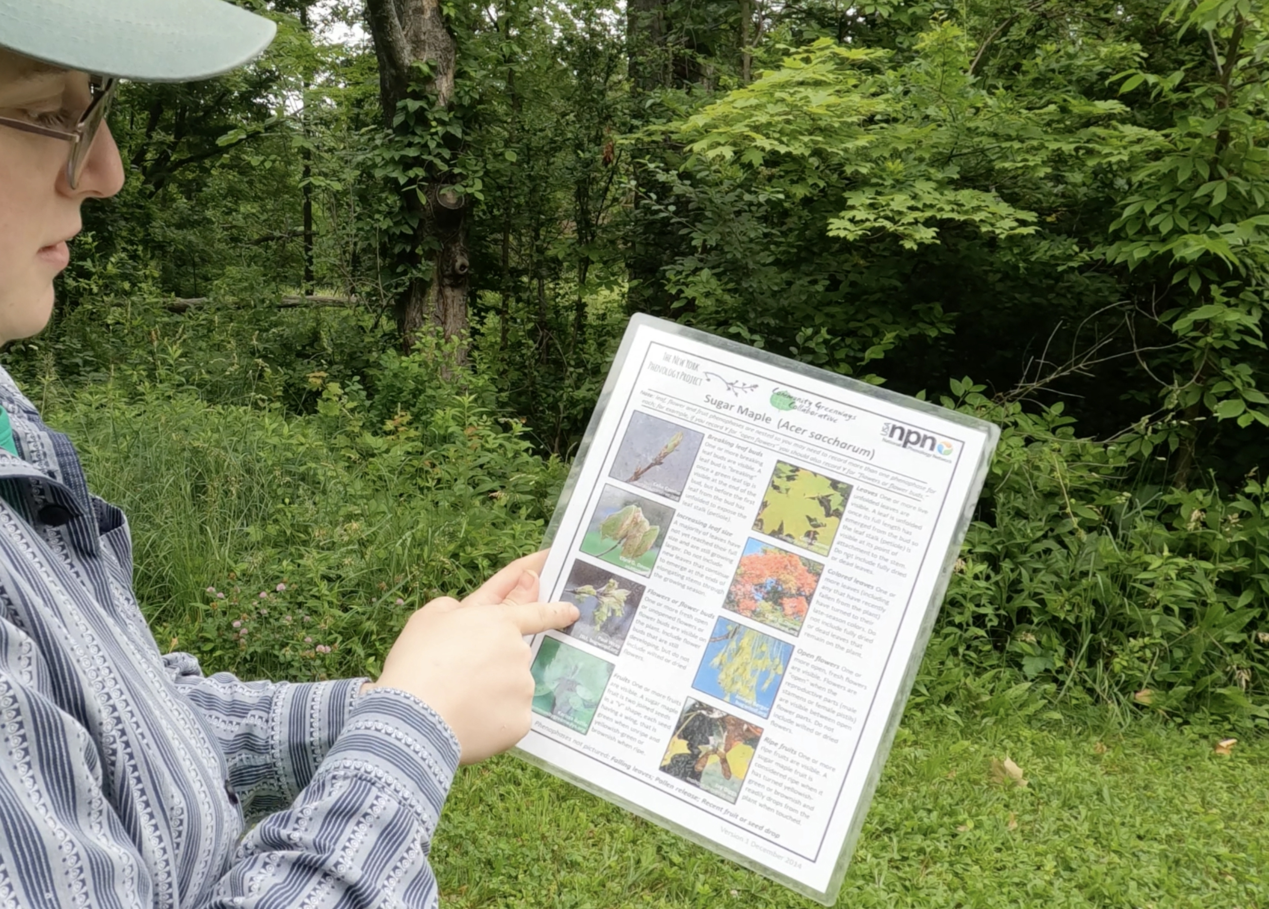 Conservation staff reviewing a phenology checklist