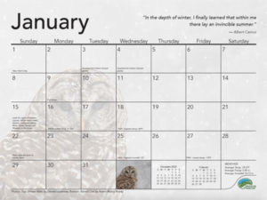 January
