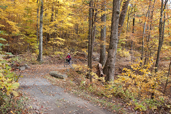 Bicyclist rides through beautiful autumn colors on a carriage road in the woods