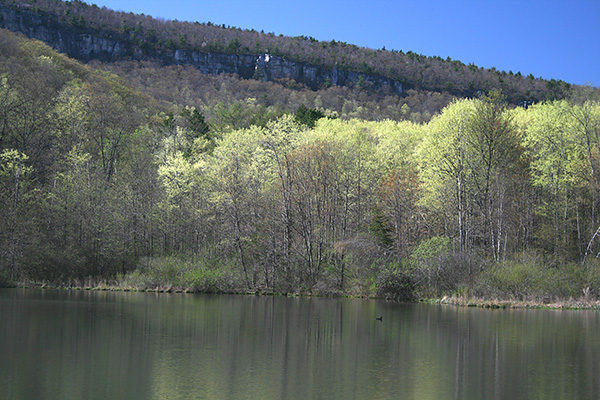 Duck pond and the Shawangunk Ridge in the background