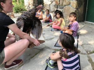 Educator teaching a group of small children about wild turkeys with a stuffed turkey outside the Mohonk Preserve Visitor Center