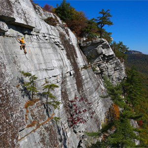 In The News - Mohonk Preserve