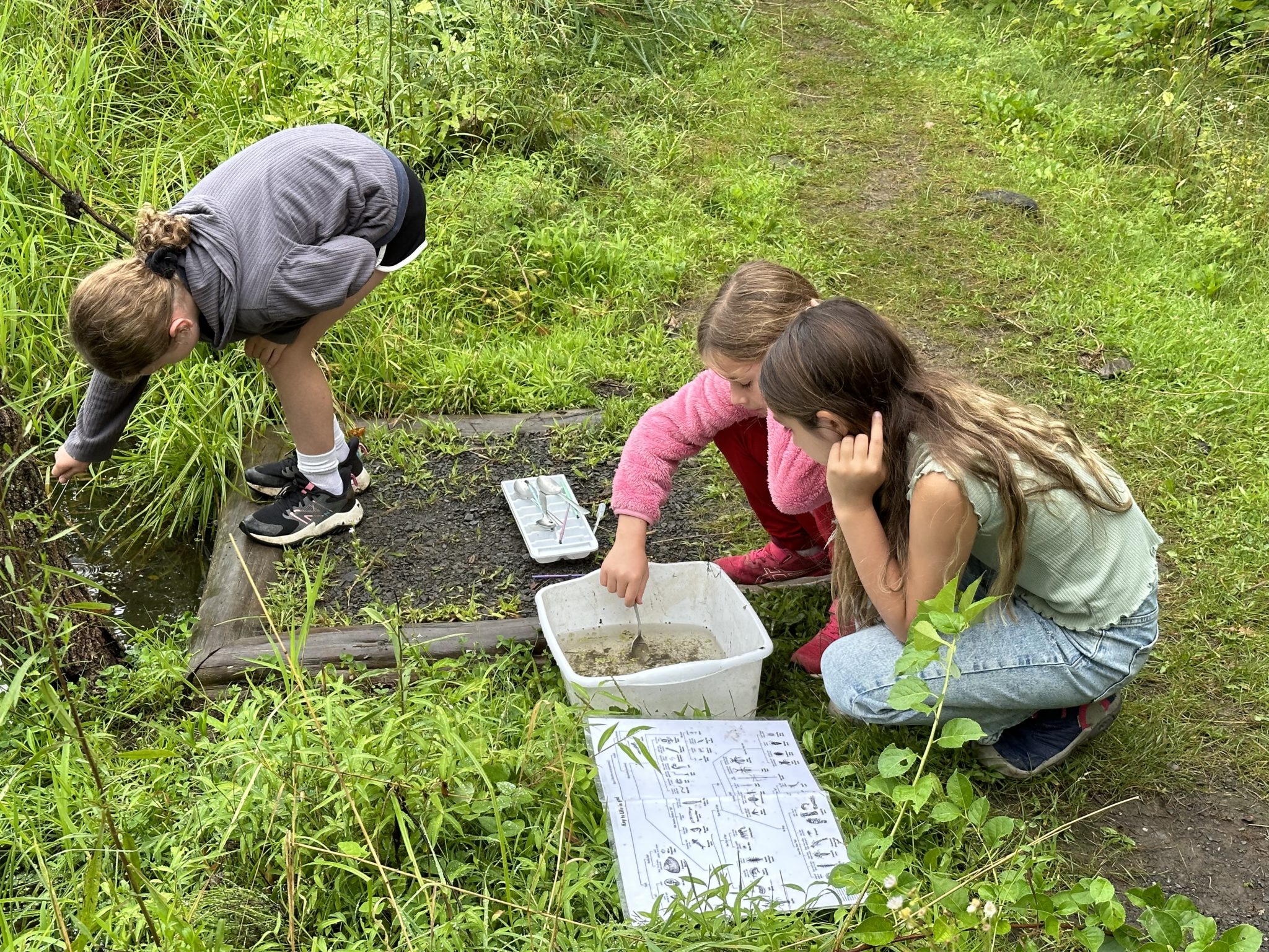 School Field Studies Mohonk Preserve