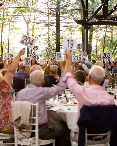 Photo by Andrea MacScott