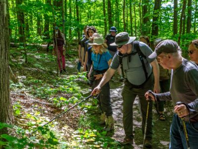 A group led by a naturalist in a forested setting at Mohonk Preserve point out botanical features of the local ecology