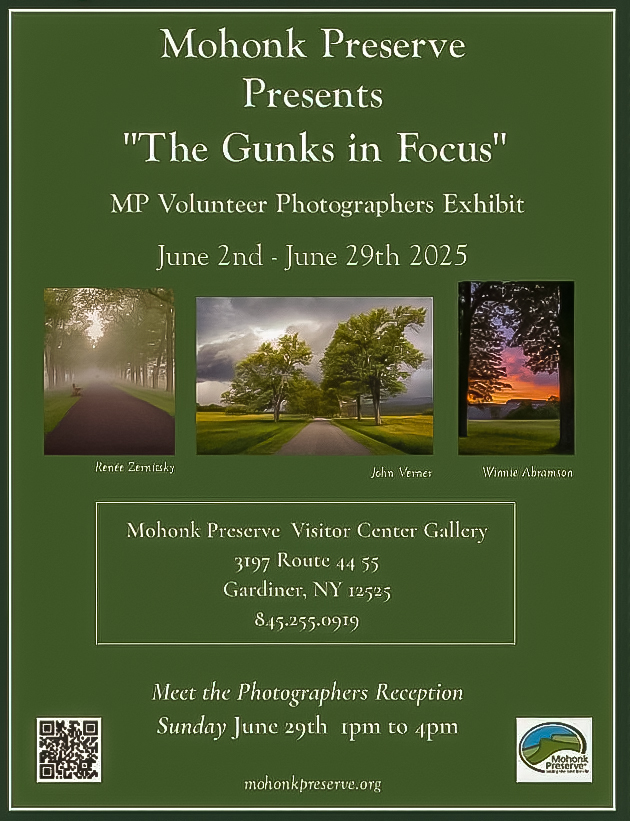 MP Flyer June 2025 Exhibit 3 (1)