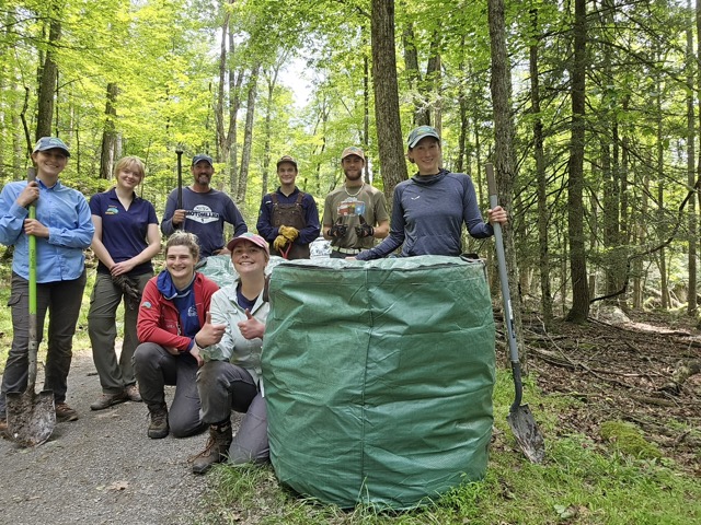 Group removing Invasive Species