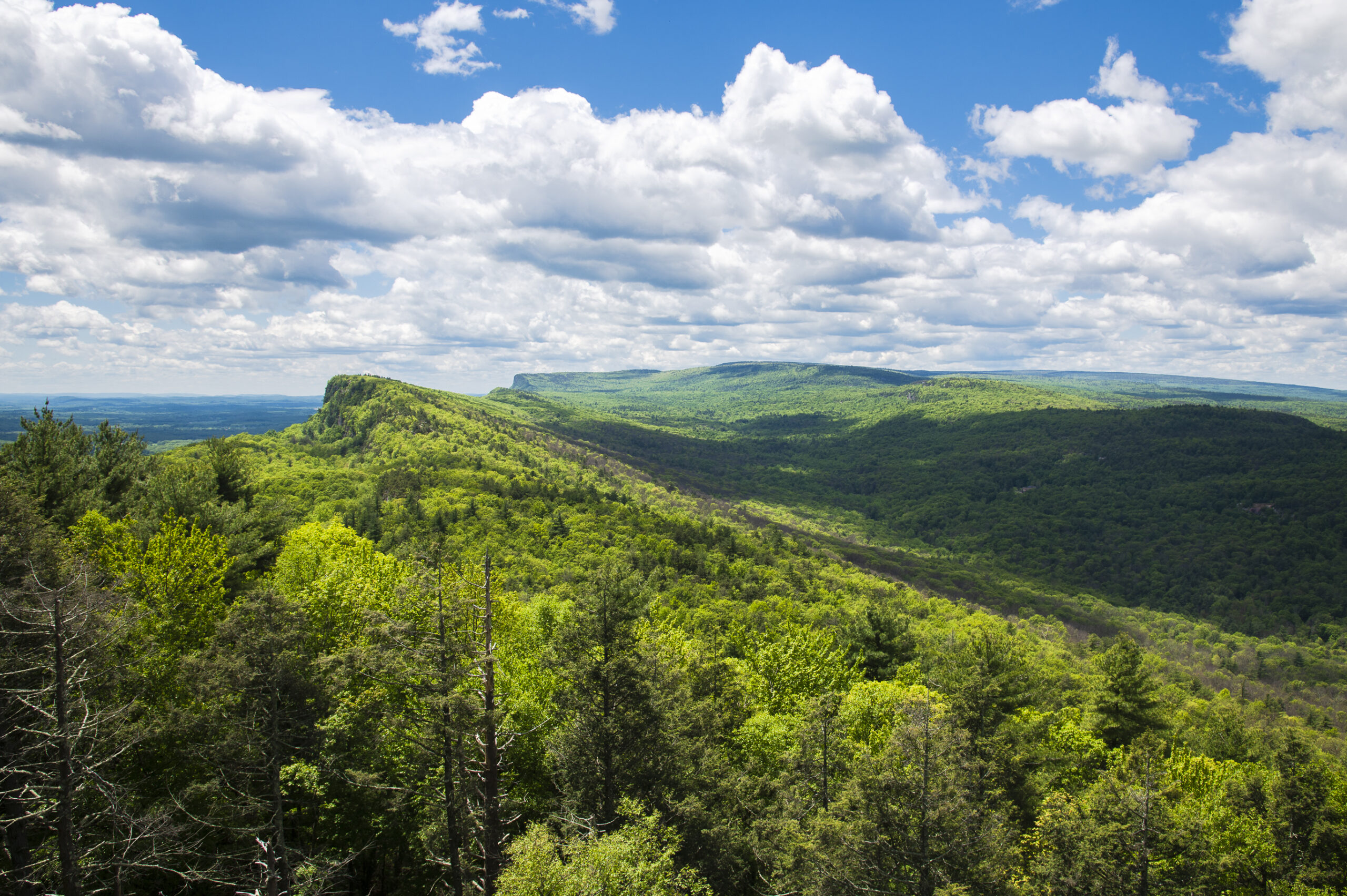 Shawangunk Ridge by Steve Aaron