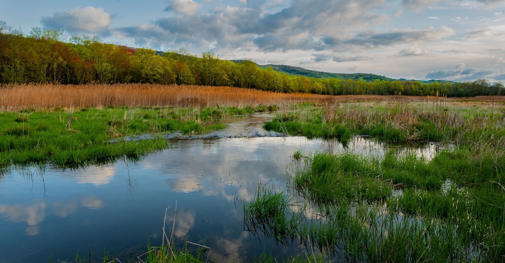 Humpo Marsh at Mohonk Preserve by Gerald Berliner