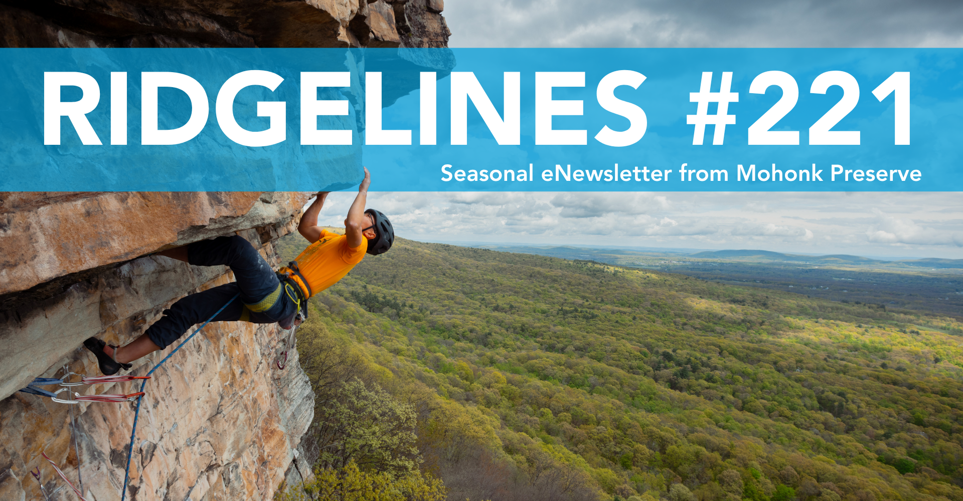 Climbing in the Gunks - Ridgelines #221 - photo by A. Jesse Jiryu Davis