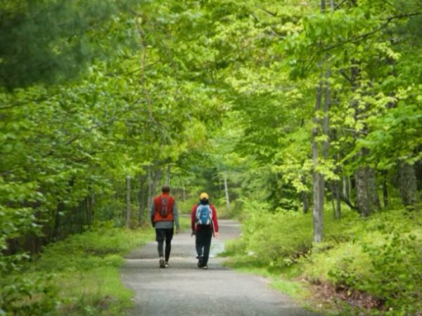 Hikers by Tom Weiner