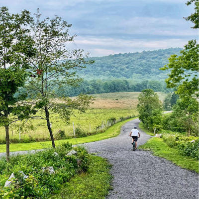 biking by June Archer