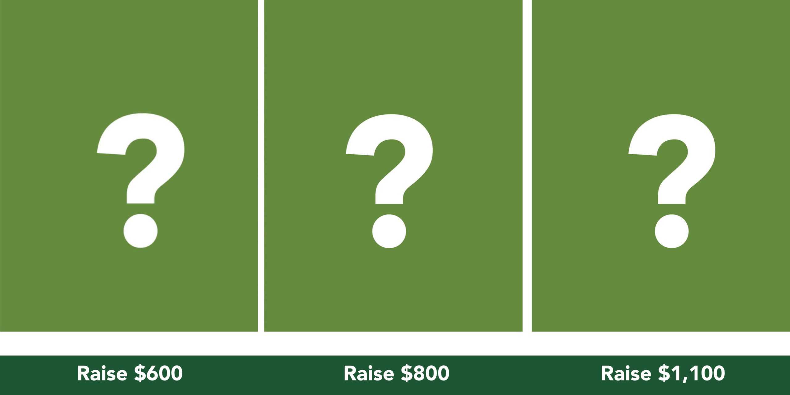 RTR Fundraising Incentives