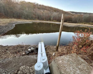 Duck Pond in 2026