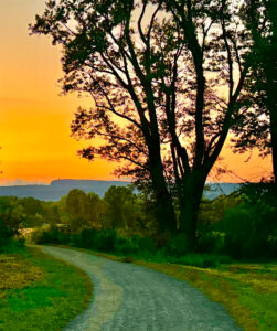 River to Ridge, curving gravel road lined with grass and large trees at sunset, with the Shawangunk Ridge and Sky Top visible in the distance beneath a glowing orange sky.