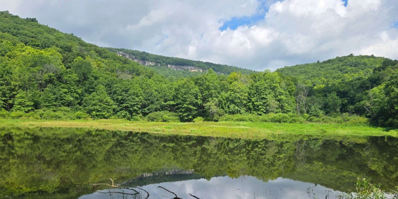 Duck Pond from the Chronolog