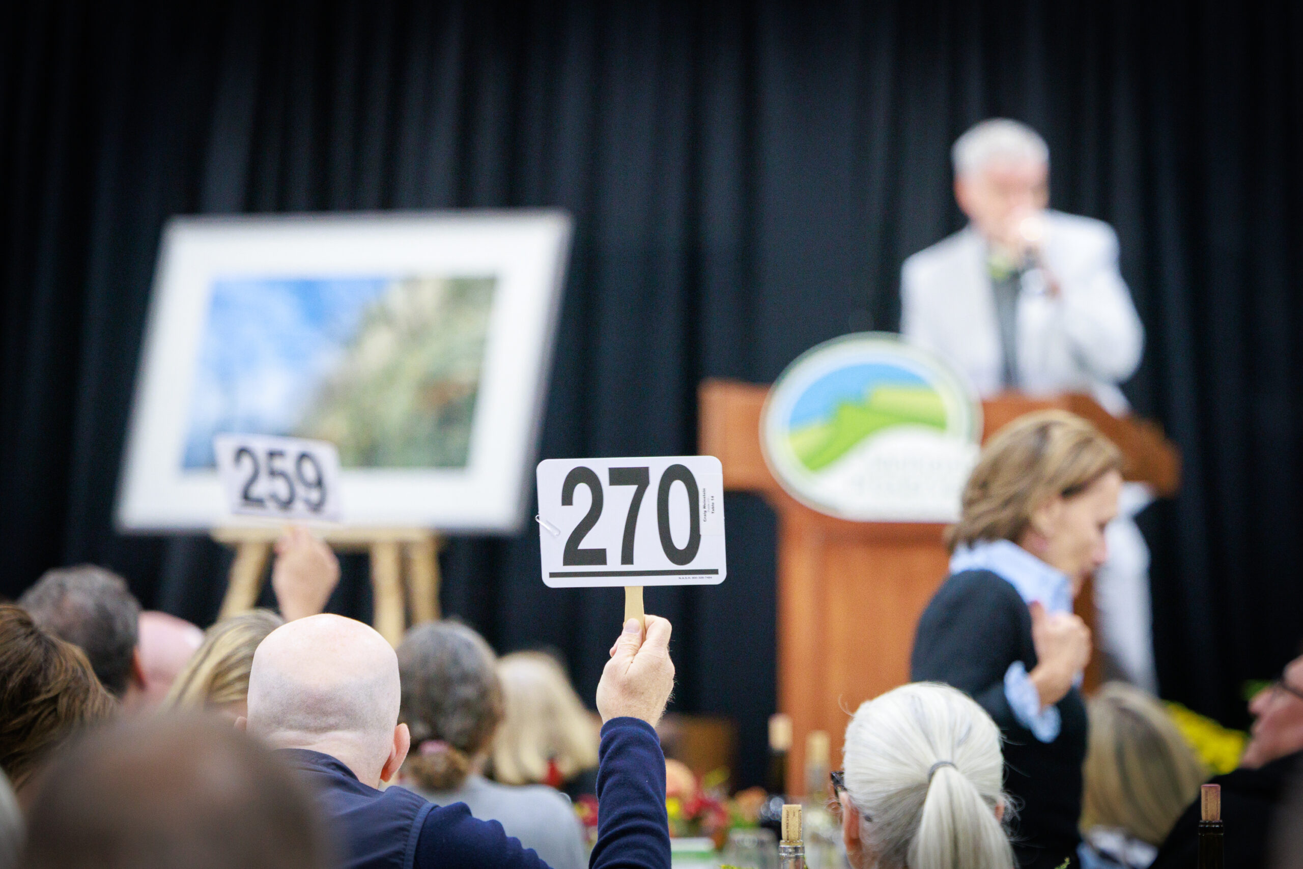 Auction 2026 by Winnie Abramson-3