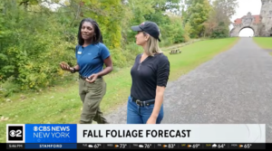 Ashawna Abbot and Vanessa Murdock walk along the carriage road at the Testimonial Gateway in New Paltz NY. Screenshot of the tv news segment about fall foliage forecast by CBS news.